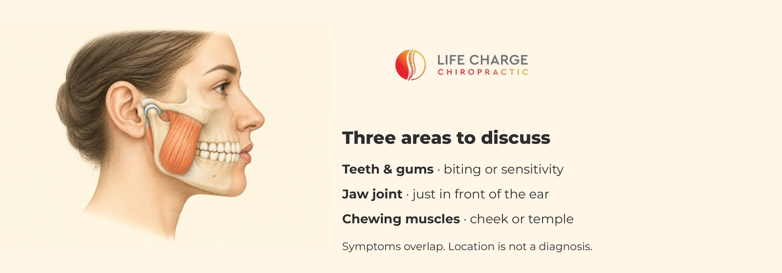 Educational side-profile jaw illustration distinguishing teeth and gums, the jaw joint in front of the ear, and chewing muscles. Symptoms overlap; location alone is not a diagnosis.